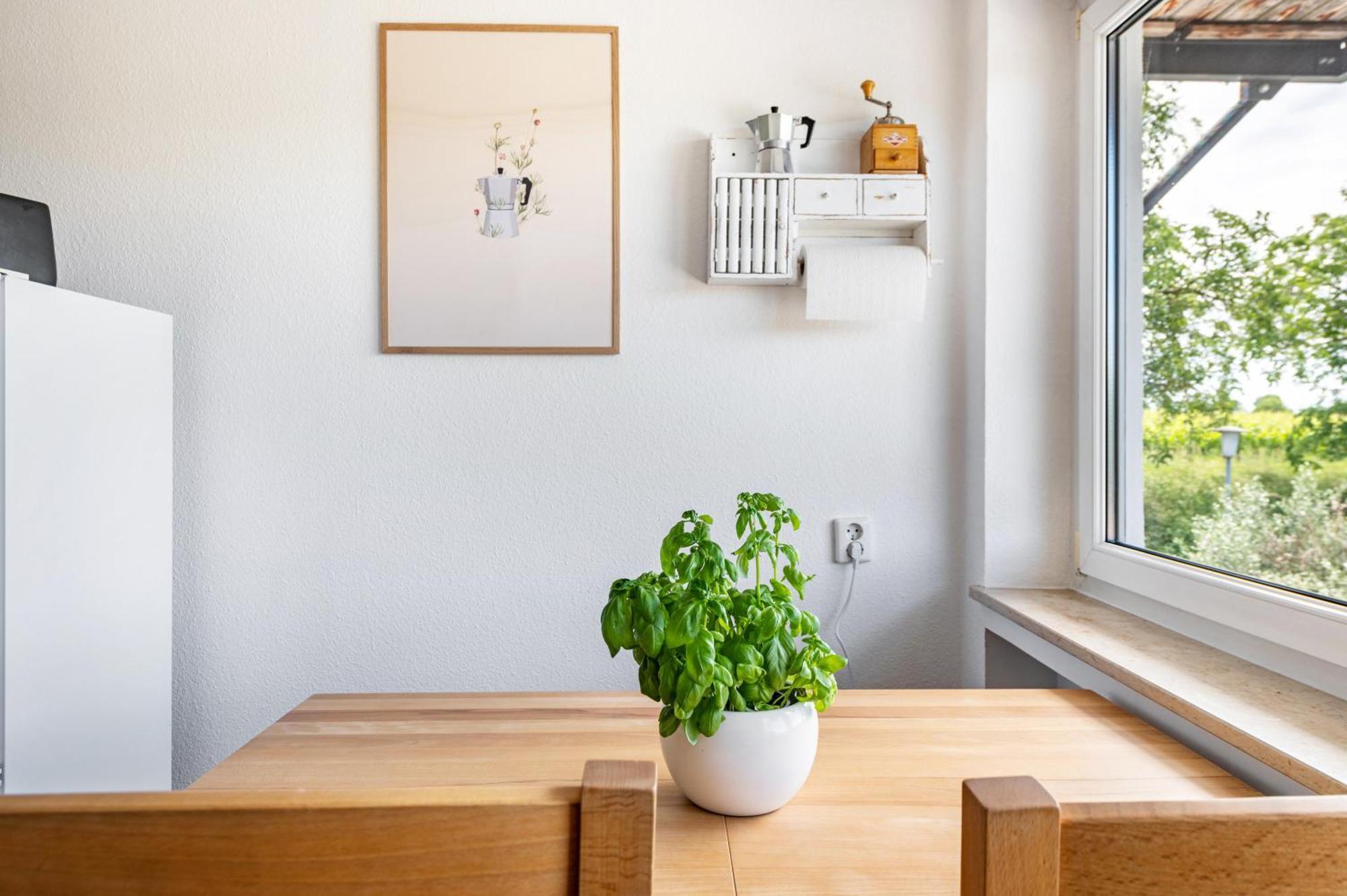 Ferienwohnung In Den Bachteln Sulzburg Ngoại thất bức ảnh
